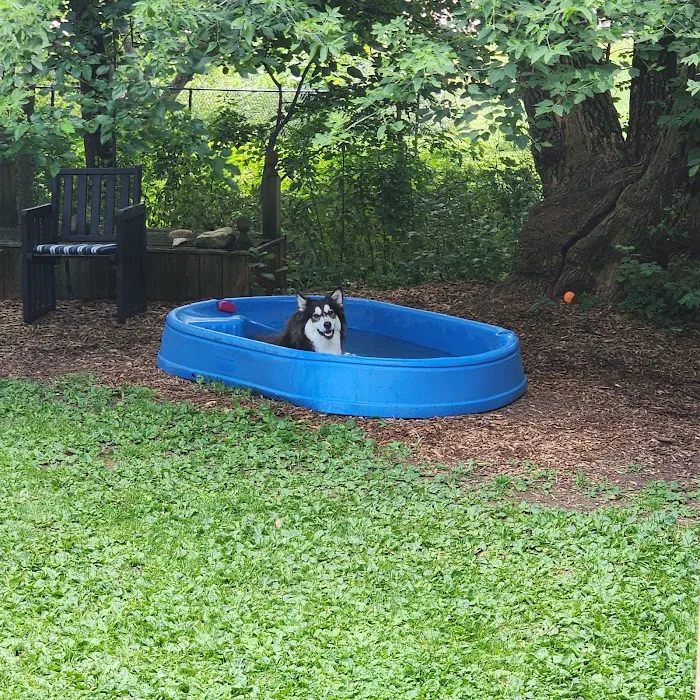 Spirit of Love Pet Care Picture 4