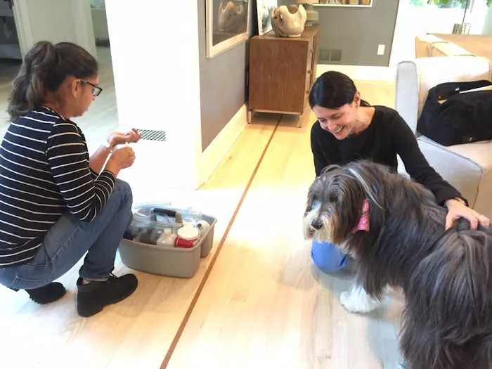 Bespoke Veterinary Services Picture 4