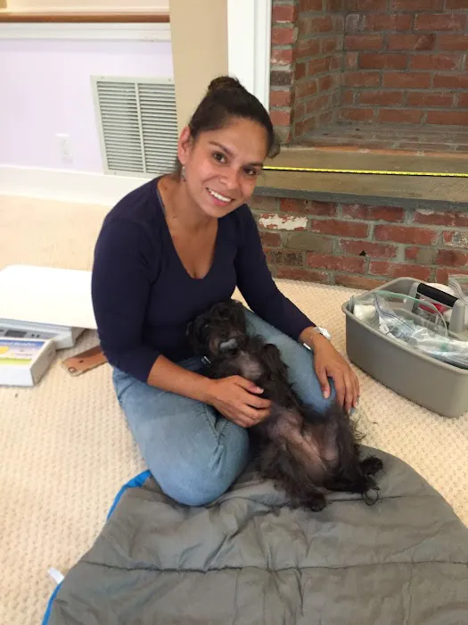 Bespoke Veterinary Services Picture 2