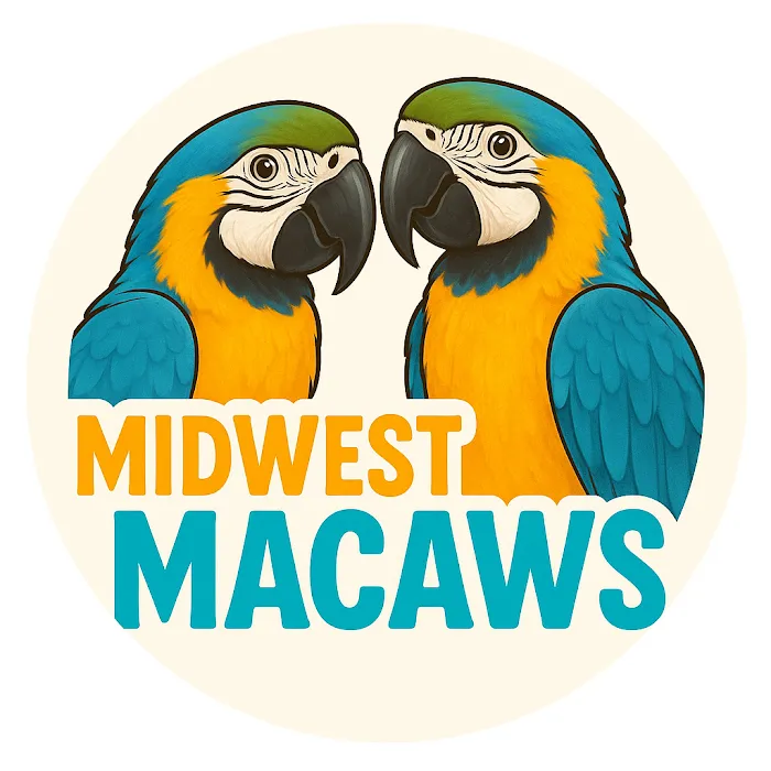 Midwest Macaws Picture 8