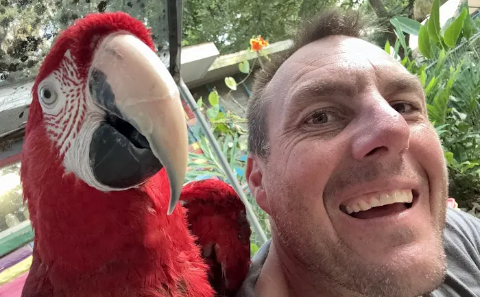 Midwest Macaws Picture 6