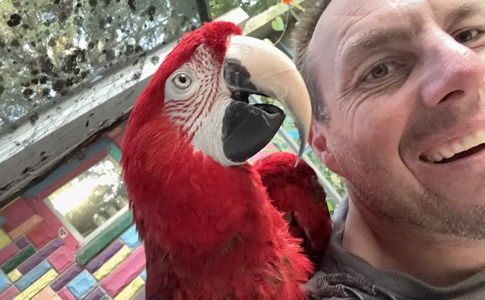 Midwest Macaws Picture 4