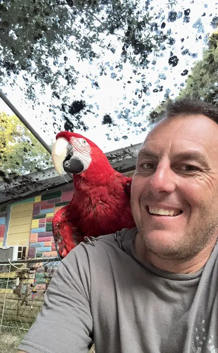 Midwest Macaws Picture 5