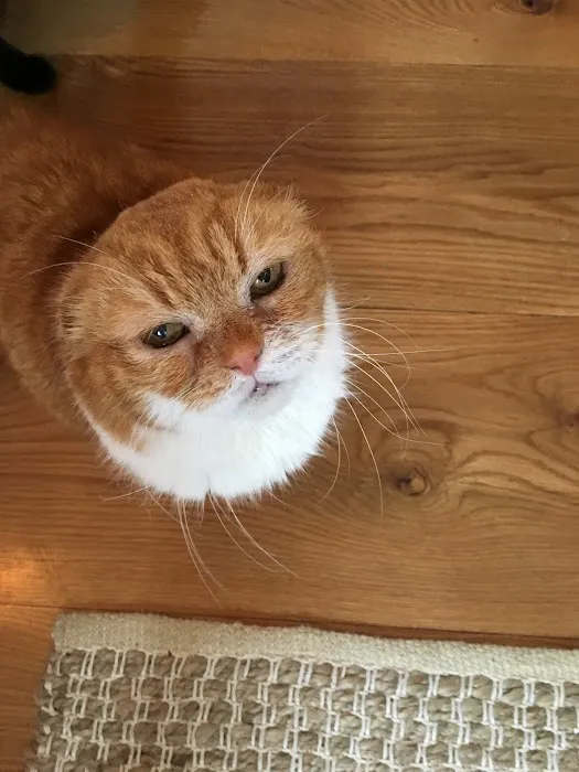 Southport Veterinary Center Picture 1