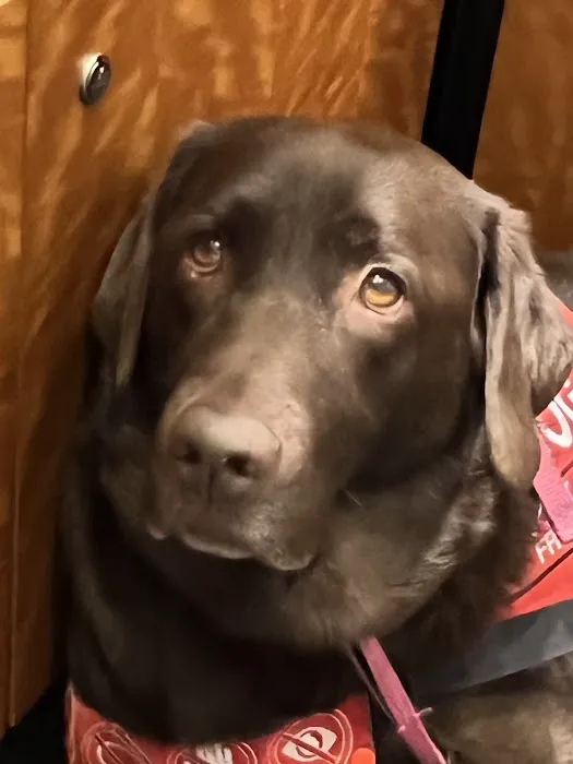 Southport Veterinary Center Picture 5