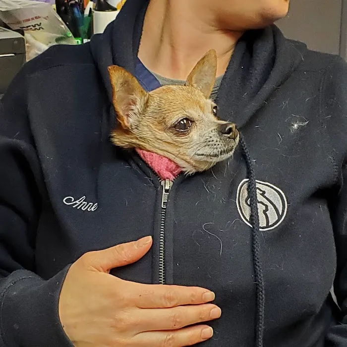 Southport Veterinary Center Picture 4