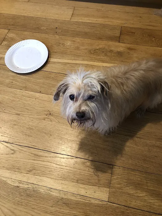 Southport Veterinary Center Picture 3