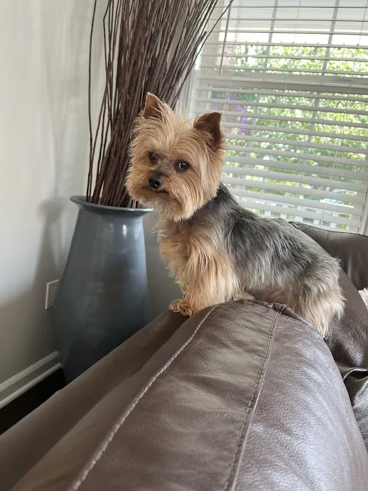 Southport Veterinary Center Picture 2