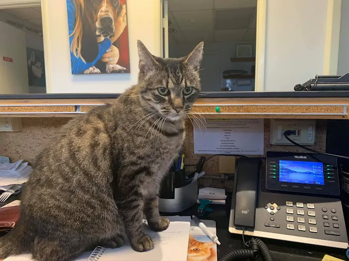 Southport Veterinary Center Picture 9