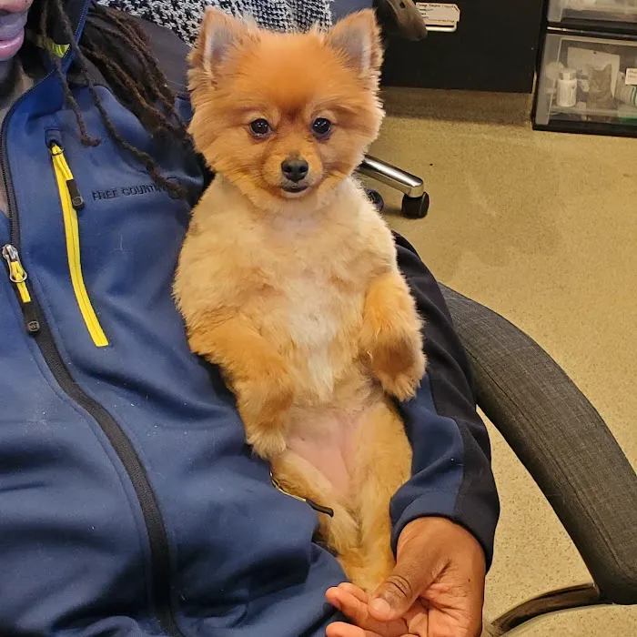 Southport Veterinary Center Picture 7