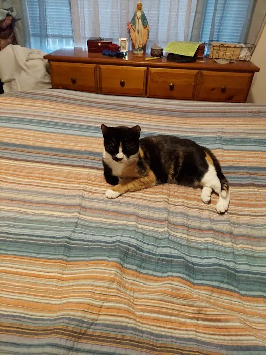 Carmel Animal Hospital Picture 5