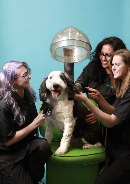 Pet Supplies Plus West Bend Picture 6