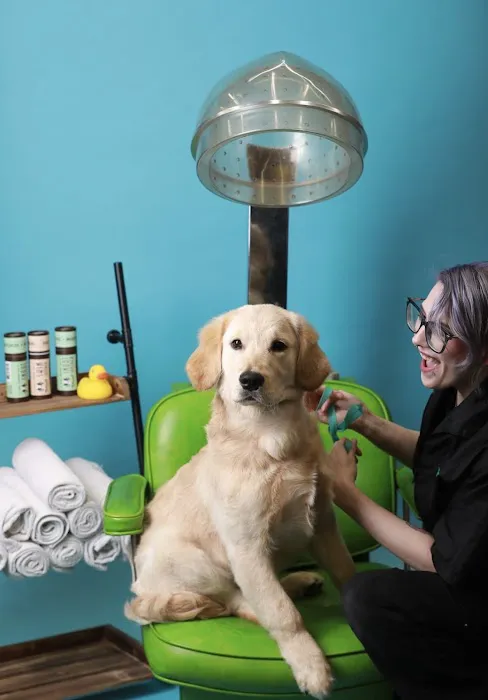 Pet Supplies Plus West Bend Picture 3