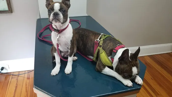 Hoell Dori DVM Picture 1