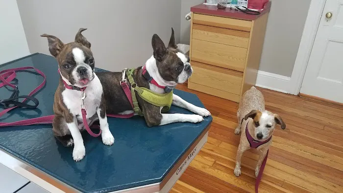 Hoell Dori DVM Picture 2