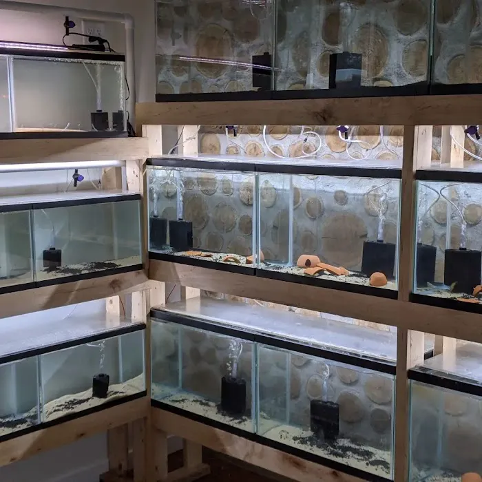 Tristan's Tropical Fish LLC Picture 2