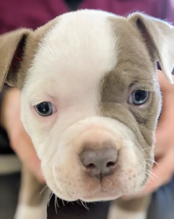 Middlebranch Veterinary Picture 6