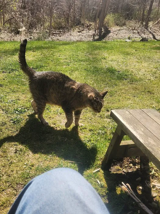 Middlebranch Veterinary Picture 10