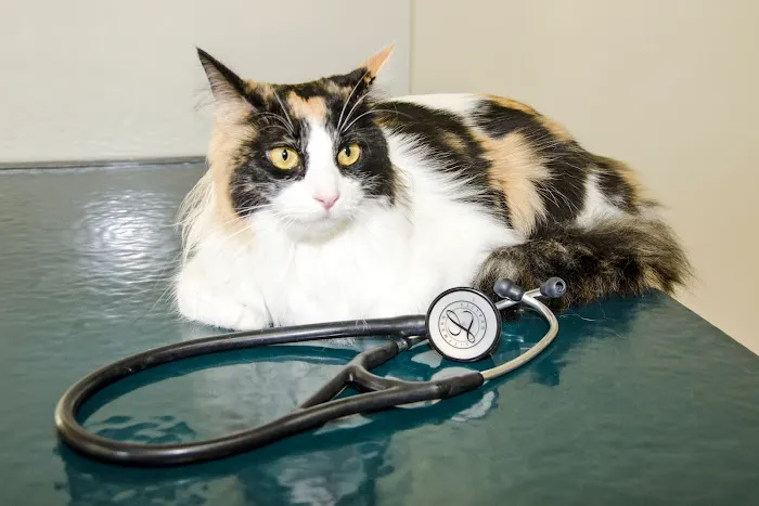 Middlebranch Veterinary Picture 8