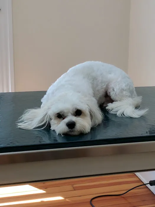 Middlebranch Veterinary Picture 4