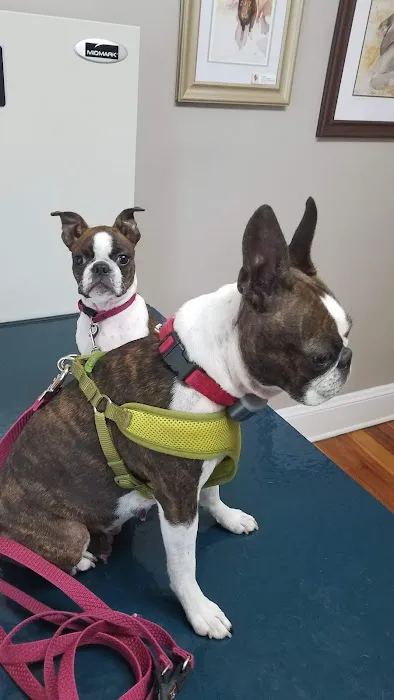 Middlebranch Veterinary Picture 2