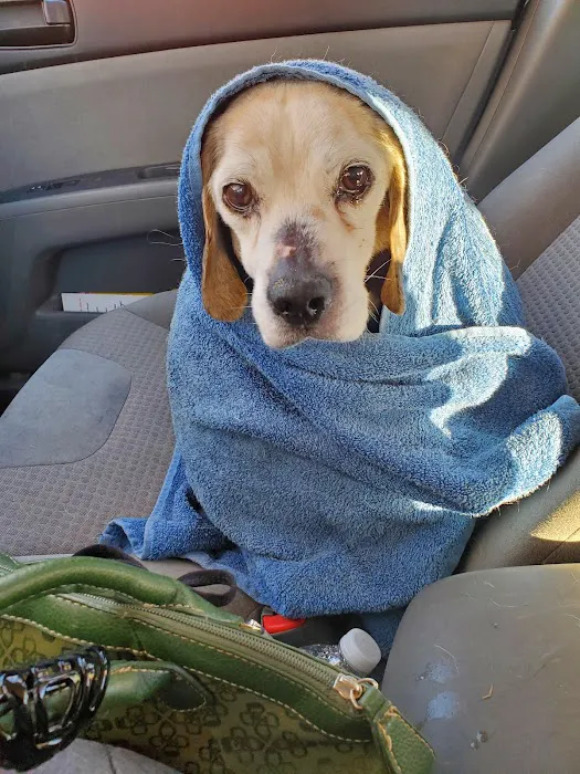 Middlebranch Veterinary Picture 7