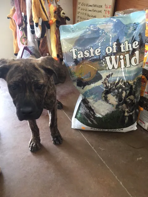 Oregon Farm Center Inc Picture 5