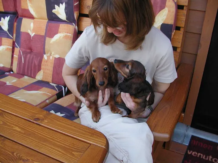 HOME VET CARE MOBILE VETERINARY SERVICE Picture 2