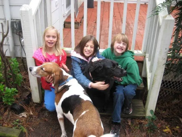 HOME VET CARE MOBILE VETERINARY SERVICE Picture 1