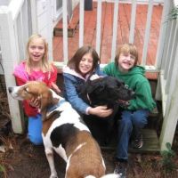 HOME VET CARE MOBILE VETERINARY SERVICE ico