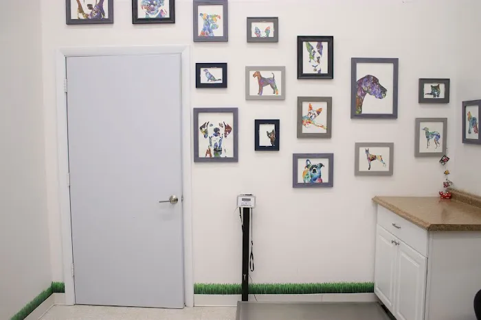 Putnam Animal Wellness Picture 6