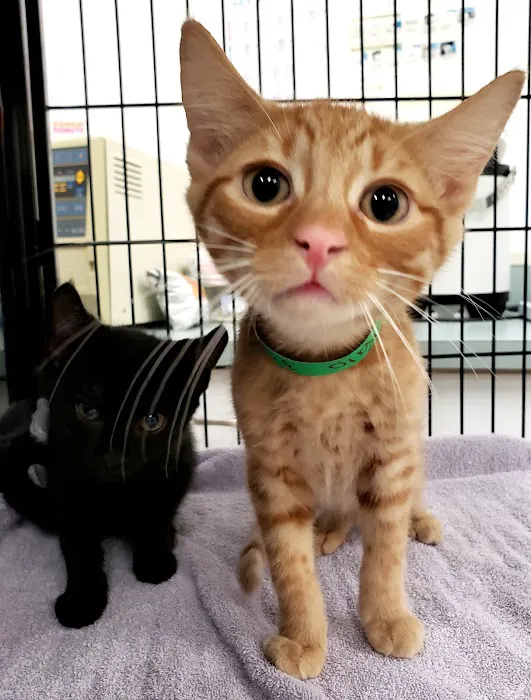 Putnam Animal Wellness Picture 1