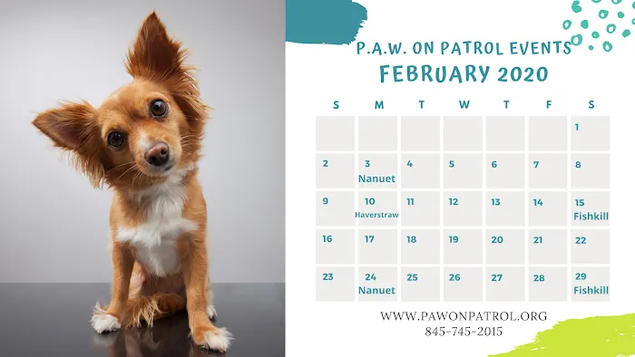 Putnam Animal Wellness Picture 10