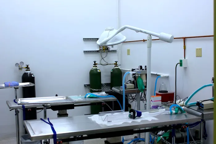 Putnam Animal Wellness Picture 2