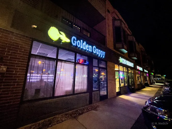 The Golden Guppy Picture 9