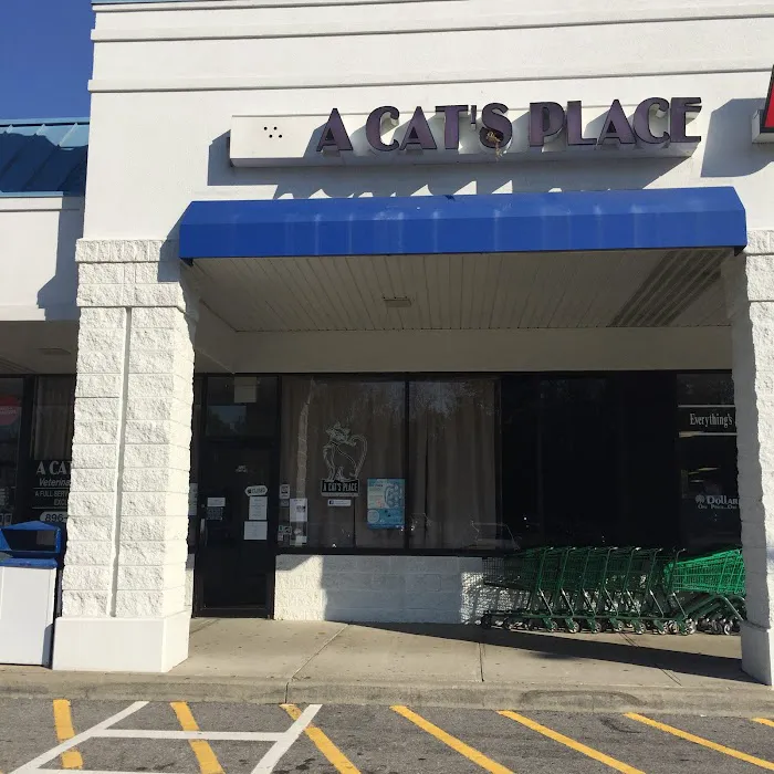 A Cat's Place Veterinary Hospital PC Picture 2