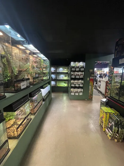 Reptile Rapture Picture 3