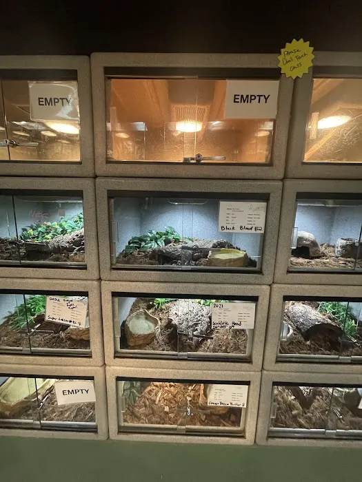 Reptile Rapture Picture 1