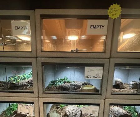 Reptile Rapture