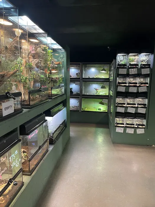 Reptile Rapture Picture 2