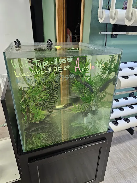 Reptile Rapture Picture 7