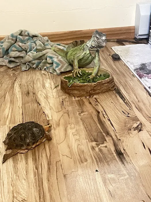 Reptile Rapture Picture 8