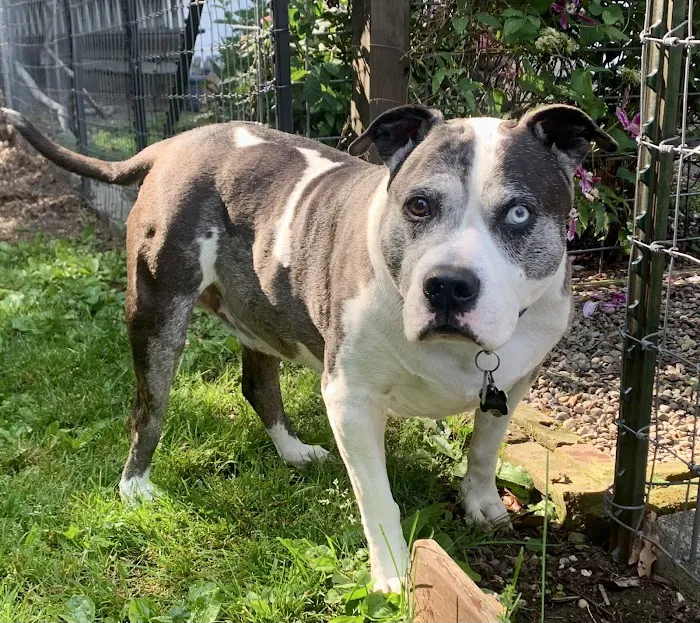 West End Veterinary Office Picture 5