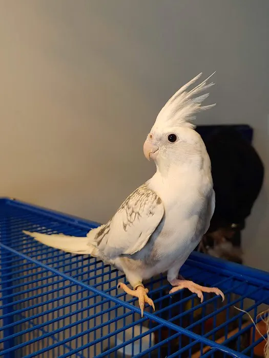 West End Veterinary Office Picture 2