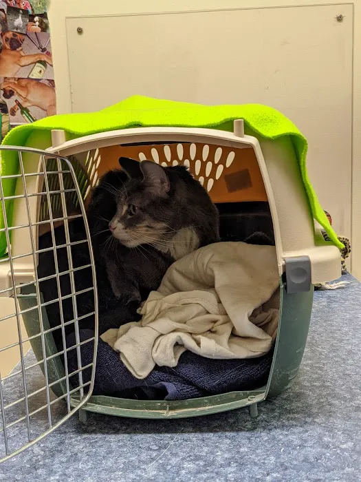 West End Veterinary Office Picture 3