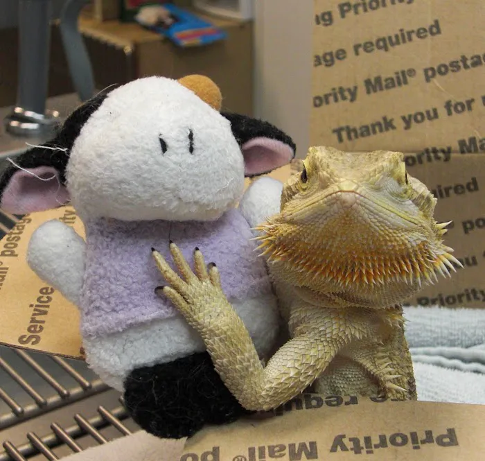 West End Veterinary Office Picture 8