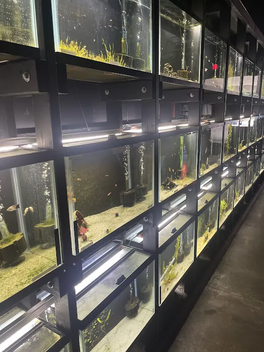 Red Fish Blue Fish Aquatics Picture 2