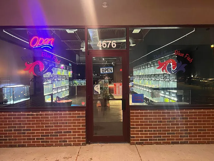 Red Fish Blue Fish Aquatics Picture 4