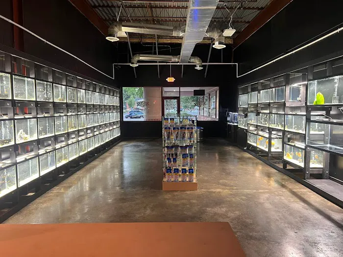 Red Fish Blue Fish Aquatics Picture 6