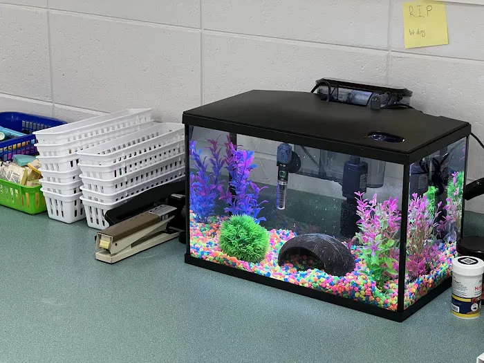 Red Fish Blue Fish Aquatics Picture 10